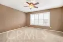 33533 Azalea thumbnail 30
