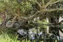 7890 E Spring Street #2L thumbnail 35