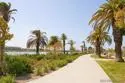 2770 Farragut Road #116 thumbnail 44