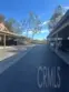 21245 Camelia #27 thumbnail 22