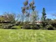 33852 Del Obispo Street #9 thumbnail 48