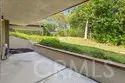 16 Rana thumbnail 20