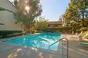 6204 Agee Street #129 thumbnail 36