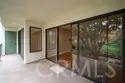 4114 Apricot thumbnail 11