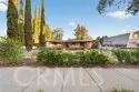 41926 Juniper thumbnail 2
