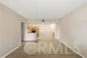 41410 Juniper thumbnail 7