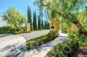 1406 Terra Bella thumbnail 23