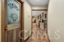 27777 Sycamore Mesa Road thumbnail 29