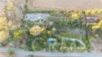 42761 Juniper thumbnail 65