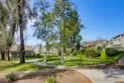 10854 Macouba Place thumbnail 38