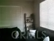 27959 Cactus #B thumbnail 4