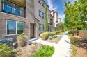249 N Magnolia #3 thumbnail 21