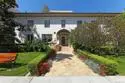 464 Prospect #609 thumbnail 34