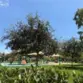 25898 Iris Avenue #A thumbnail 21