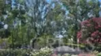 32836 Paraguay Drive thumbnail 4