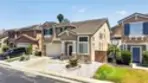 42124 Orange Blossom thumbnail 5