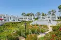 33611 Dana Vista Drive #31 thumbnail 20