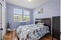 8053 Picasso thumbnail 51