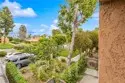 6600 Warner Avenue #42 thumbnail 18
