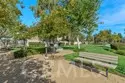41737 Ridgewalk Street #1 thumbnail 29