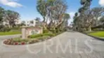19282 Torreypines thumbnail 4