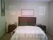 27959 Cactus #B thumbnail 19