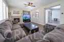 45550 Seagull thumbnail 12