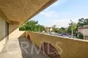 25261 Tanoak thumbnail 33