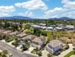 41211 Pine Tree thumbnail 10