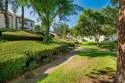 1311 Hawk Lane thumbnail 45