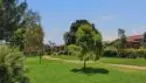 7597 Charmant Drive #Unit 904 thumbnail 25