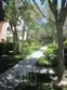 65 Figtree thumbnail 8