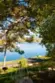 16 Chaumont thumbnail 52