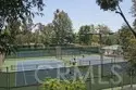 24836 Lakefield Street thumbnail 30