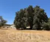 37525 E Benton Road thumbnail 4