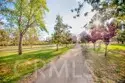 5143 Bakman #417 thumbnail 16