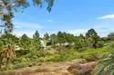 2509 Caminito Muirfield thumbnail 19