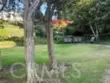 1322 W Park Western #211 thumbnail 6