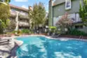 330 Cordova Street #157 thumbnail 17