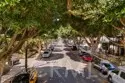 1240 Franklin Street #5 thumbnail 21
