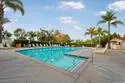 6004 Paseo Salinero thumbnail 35
