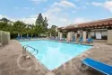 25715 Harbor Point Drive #168 thumbnail 37