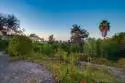 12566 Calle Tamega #108 thumbnail 11
