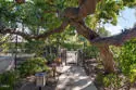 480 S Orange Grove #1 thumbnail 33