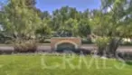 26229 Solrio thumbnail 35