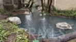 4900 E Chapman Avenue #90 thumbnail 45