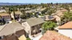 42124 Orange Blossom thumbnail 35