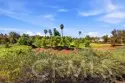 42145 Delmonte thumbnail 42