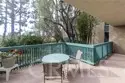 424 N Bellflower #101 thumbnail 15