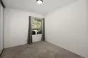 2147 Citrus Tree thumbnail 22